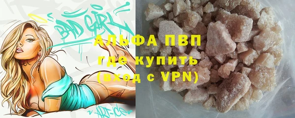 ешки Богданович