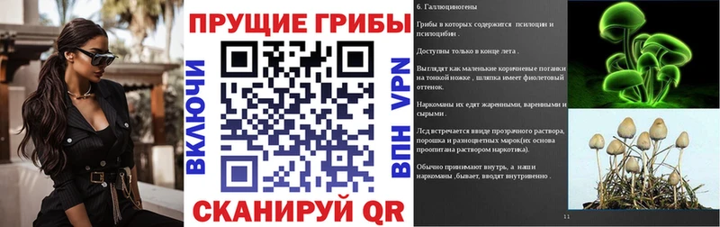 наркота  Среднеуральск  Галлюциногенные грибы Cubensis 